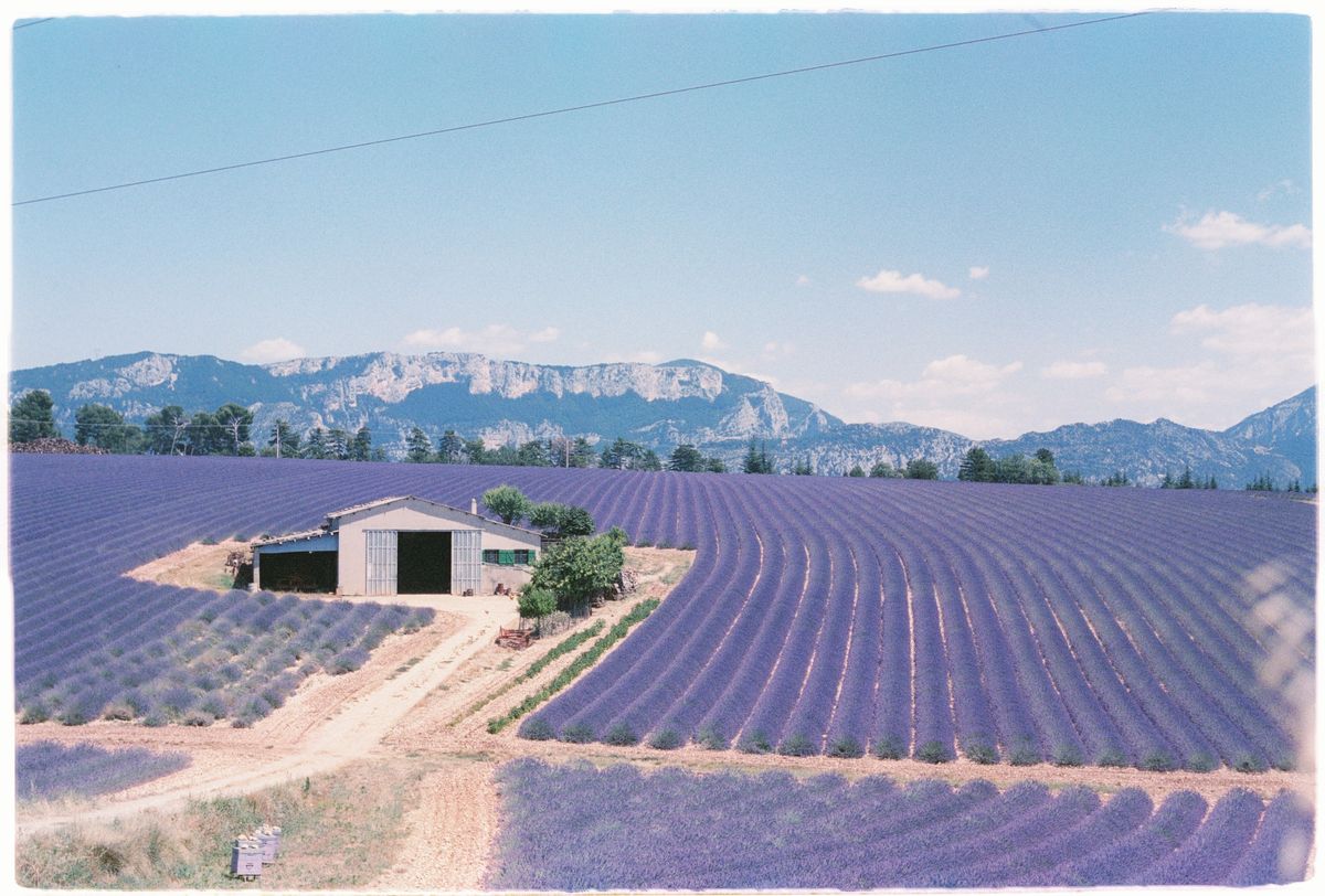 Mas provençal en pierre avec volets bleus et cyprès sous le soleil du Luberon